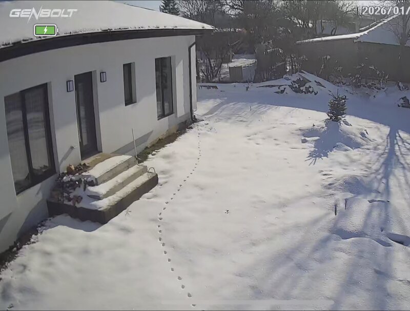 Comana, padurea Parcul Natural Comana, Vlad Tepes, Giurgiu,