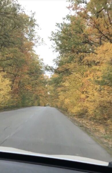 Comana, padurea Parcul Natural Comana, Vlad Tepes, Giurgiu,