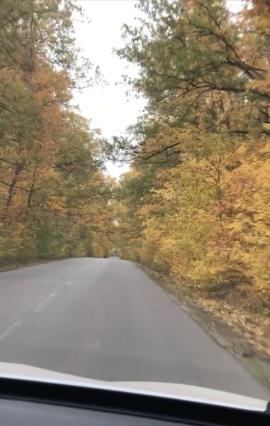 Comana, Padurea Parcul Natural Comana, Vlad Tepes, Giurgiu,